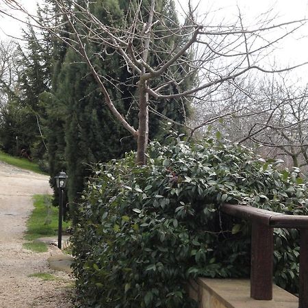 Agriturismo Le Valli Hotel Acuto Esterno foto