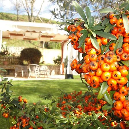 Agriturismo Le Valli Hotel Acuto Esterno foto