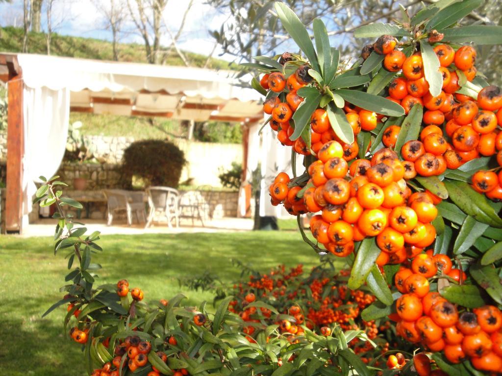Agriturismo Le Valli Hotel Acuto Esterno foto